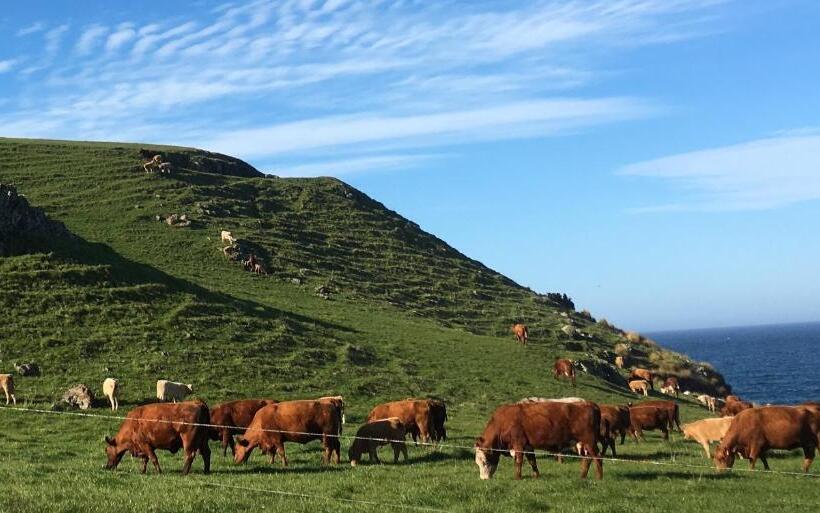 住宿加早餐  Cable Station Accommodation
