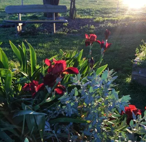 Aamiaismajoitus (B&B) Cable Station Accommodation