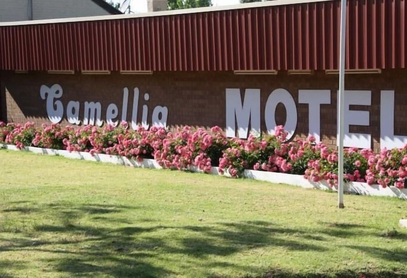 Camellia Motel