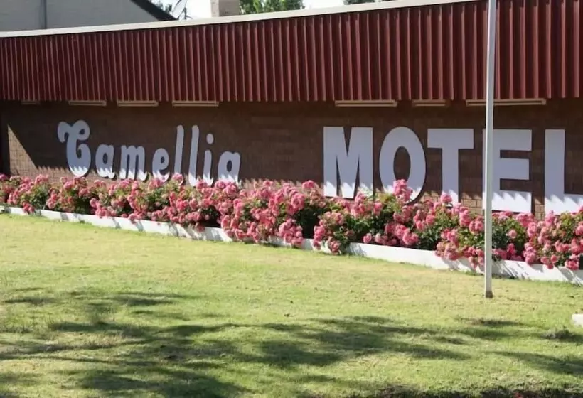 Camellia Motel