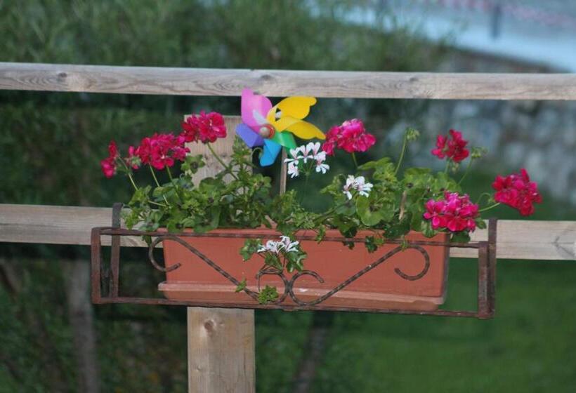 Hotel Albergo Bellaria