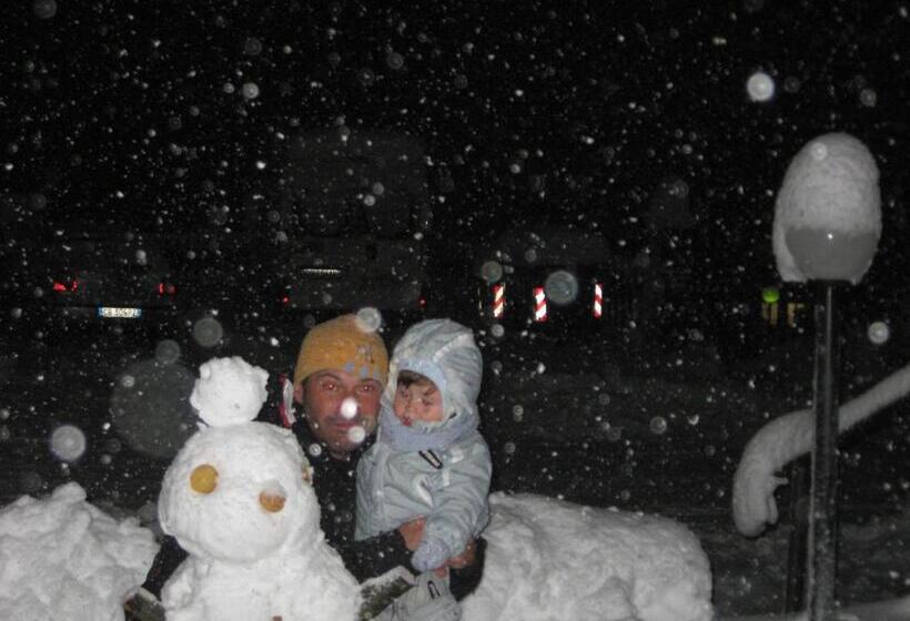 Hotel Albergo Bellaria