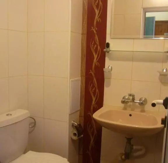 هتل Strajica