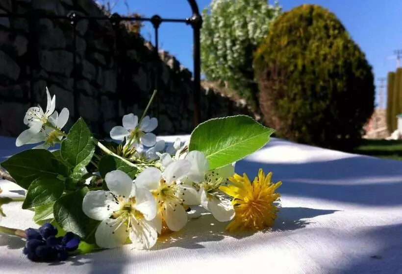 Mas Pichony Maison D Hôtes B&b