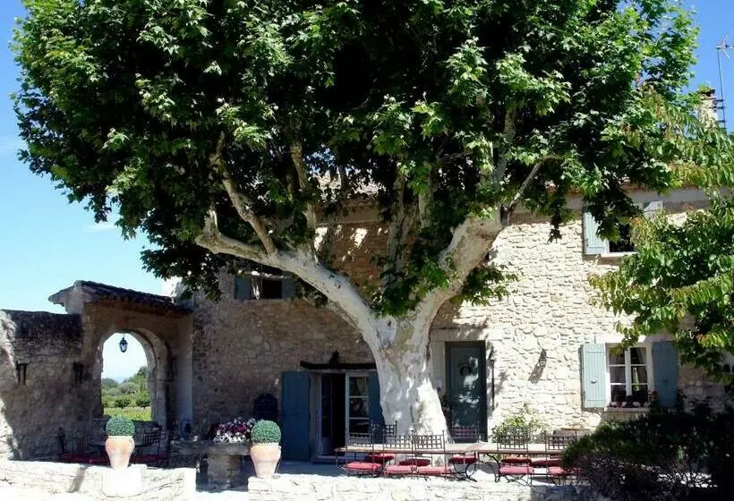 Mas Pichony Maison D Hôtes B&b