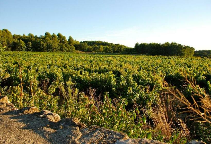 Mas Pichony   Maison D Hôtes   B&b