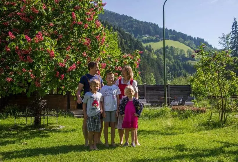 ペンション Friedlwirt Kraftplatz Natur
