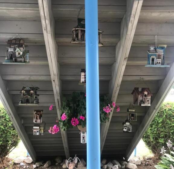 汽车旅馆 Four Seasons Motor Inn