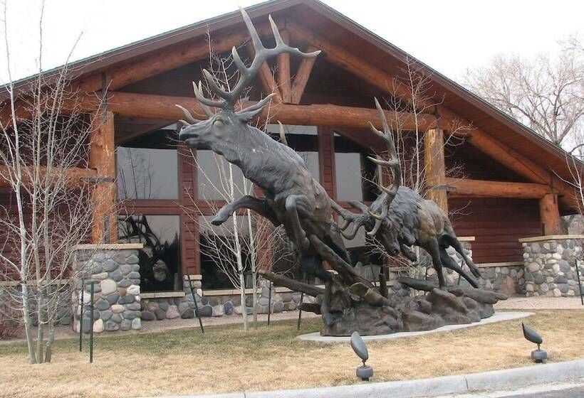 Hotel Americinn By Wyndham Cody