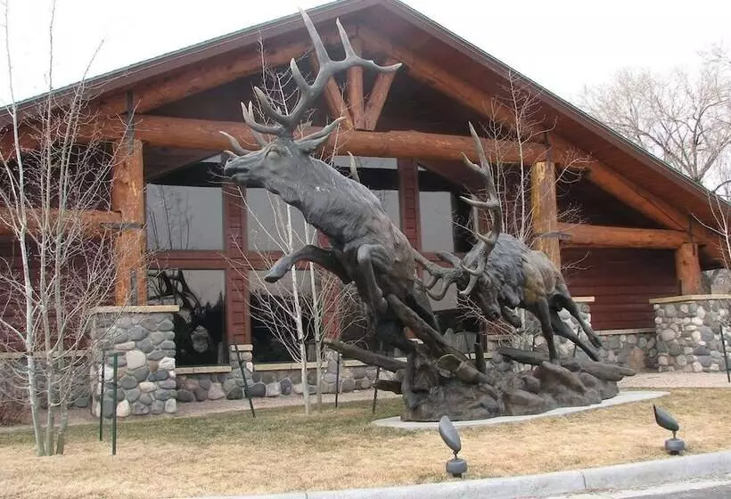 호텔 Americinn By Wyndham Cody