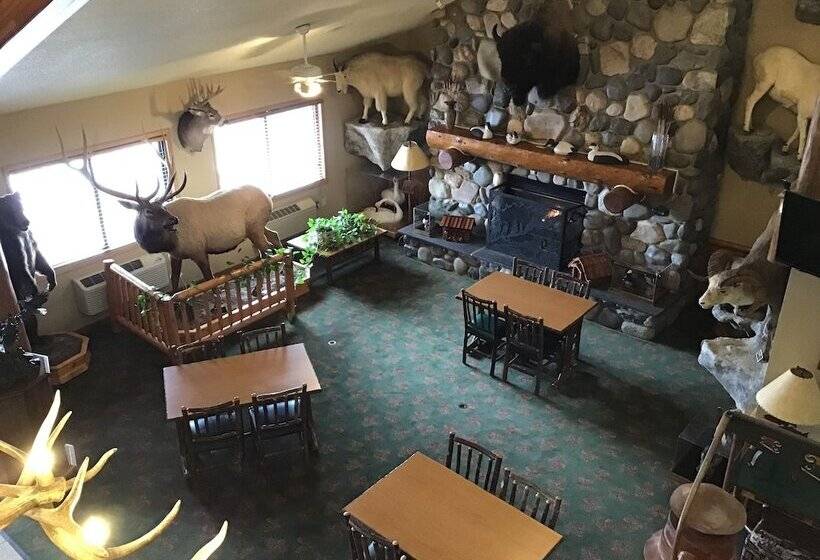 Hotel Americinn By Wyndham Cody