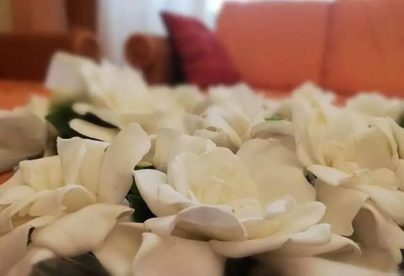 בית מלון כפרי Belvedere