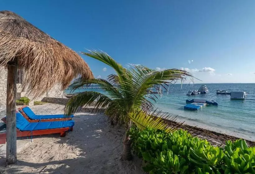 호텔 Dos Playas Faranda Cancún