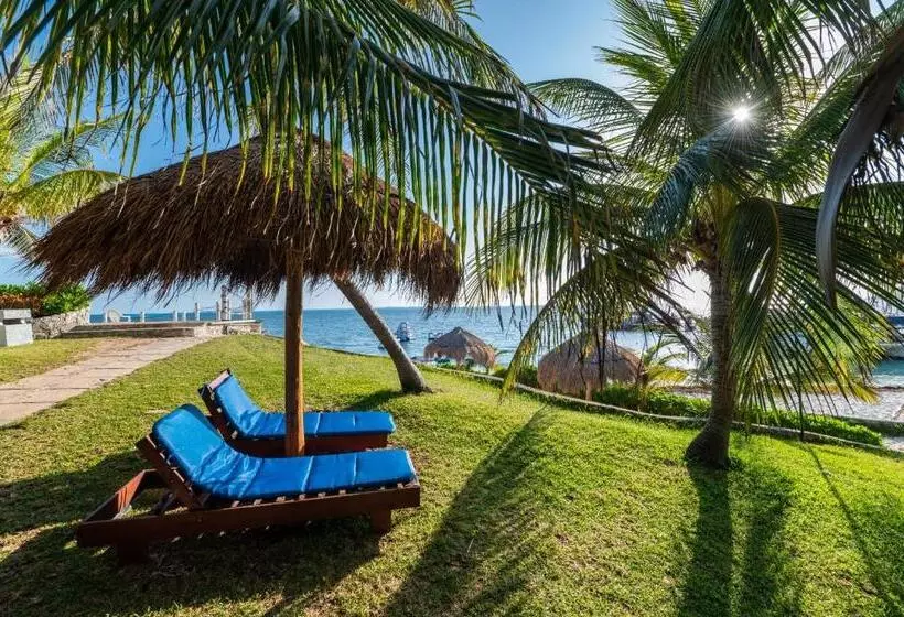 호텔 Dos Playas Faranda Cancún