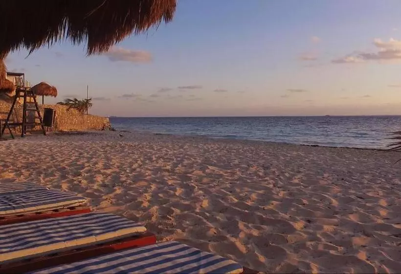 호텔 Dos Playas Faranda Cancún