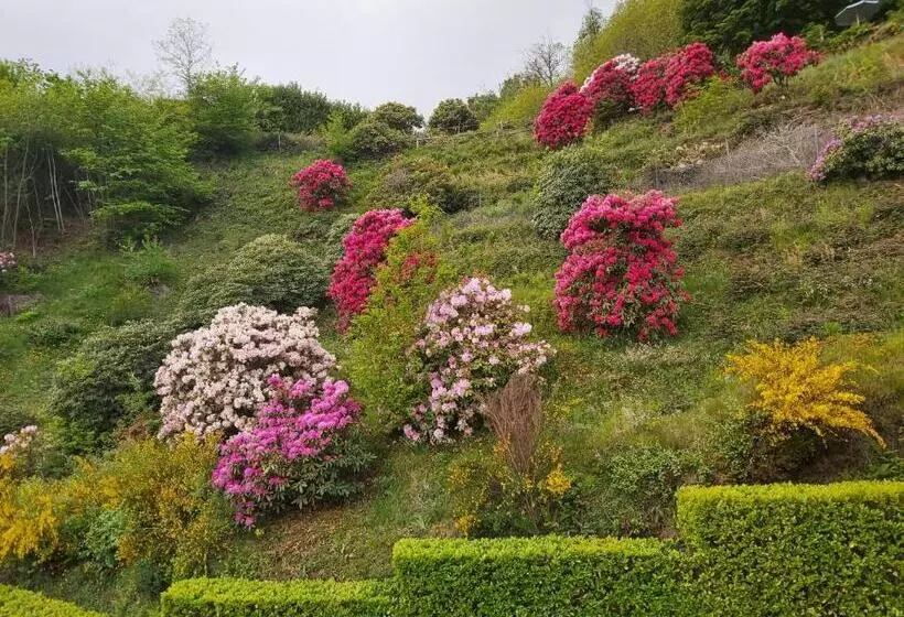 فندق Lo Scoiattolo