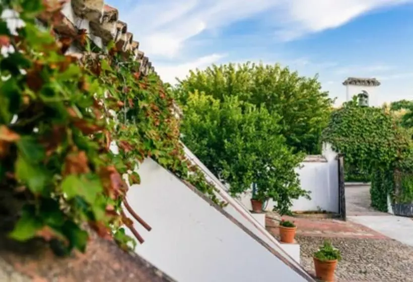 ホテル Boutique Molino Del Arco