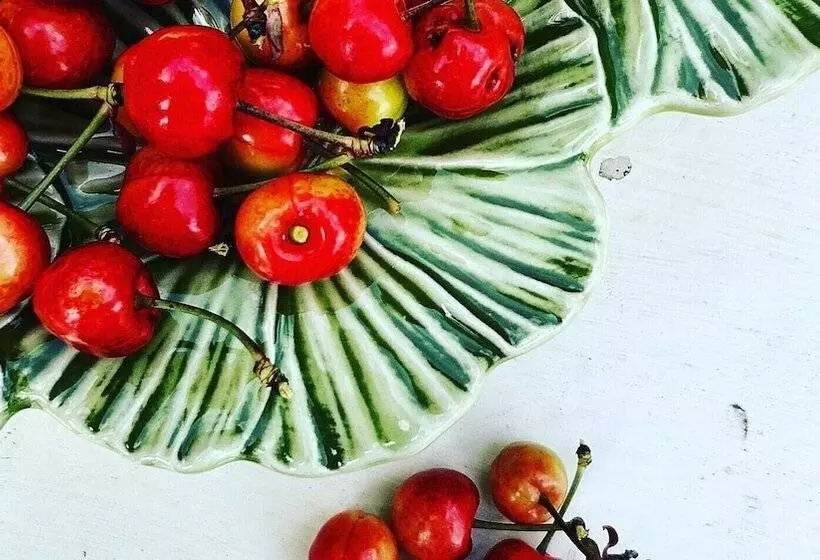 Casa Do Fundo  Sustainable & Ecotourism