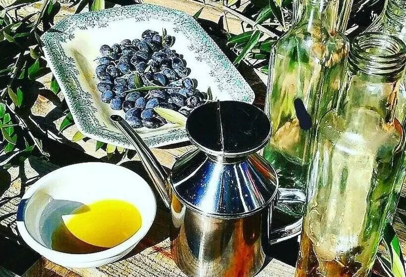 Casa Do Fundo  Sustainable & Ecotourism