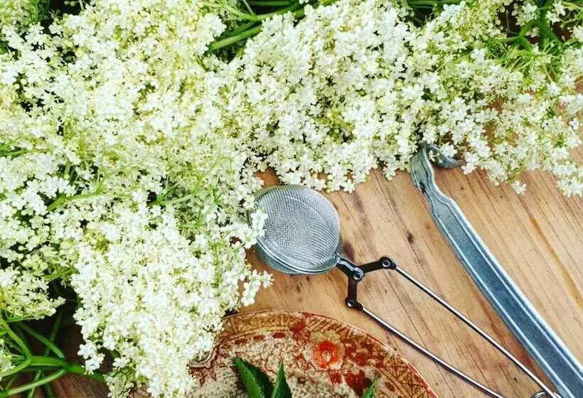 Casa Do Fundo  Sustainable & Ecotourism