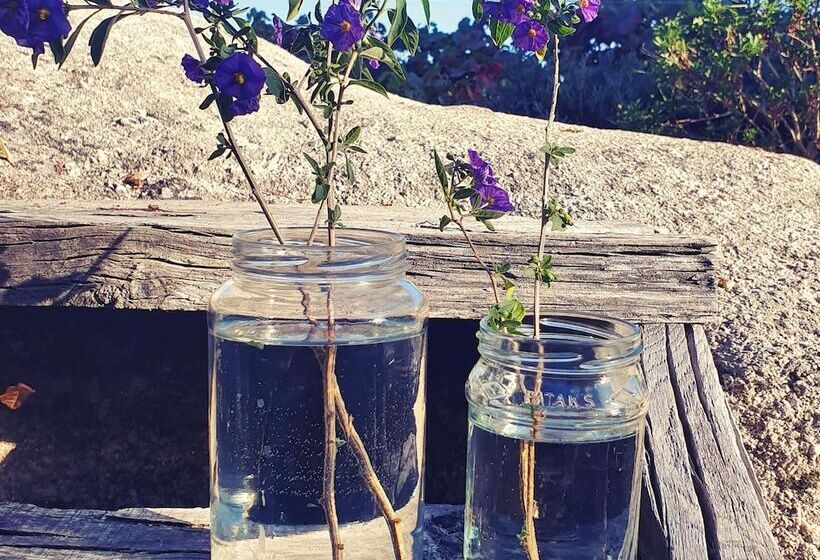 Casa Do Fundo  Sustainable & Ecotourism