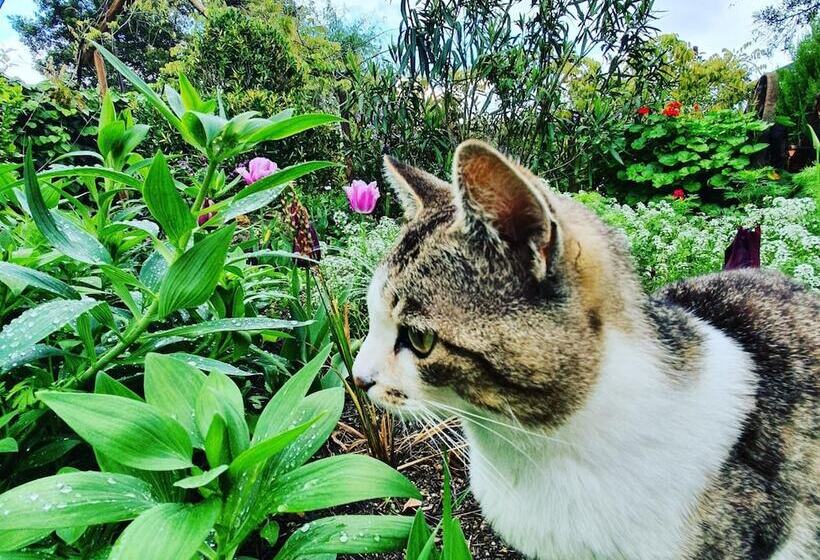 Casa Do Fundo  Sustainable & Ecotourism