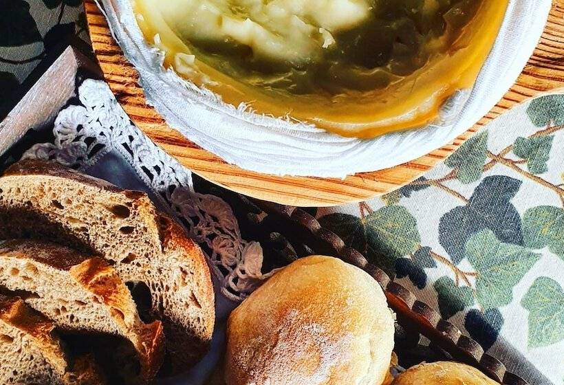 Casa Do Fundo  Sustainable & Ecotourism