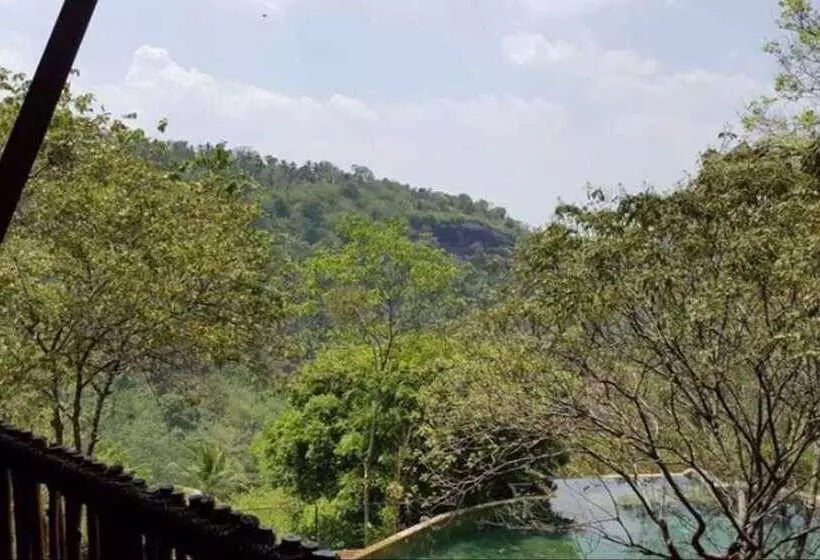 Hotelli Birds Park Polgahawela