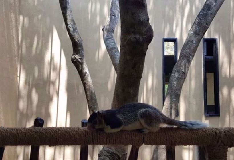 Отель Birds Park Polgahawela