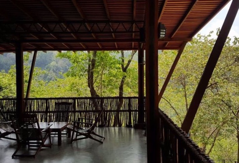 Отель Birds Park Polgahawela