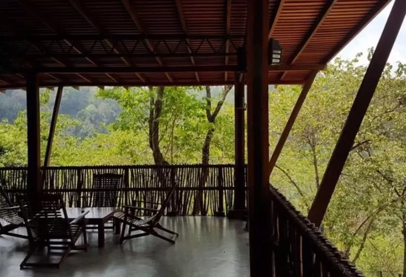 Hotelli Birds Park Polgahawela