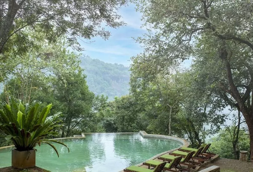 Hotelli Birds Park Polgahawela