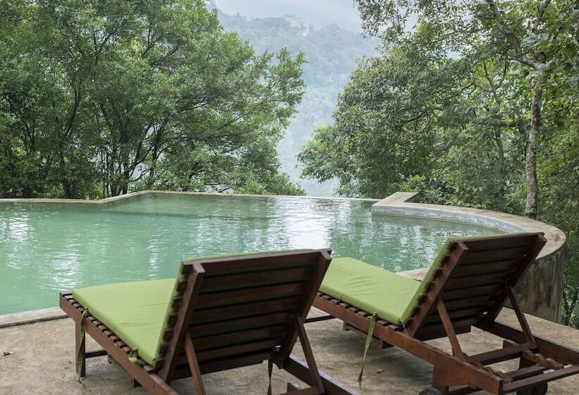 Отель Birds Park Polgahawela