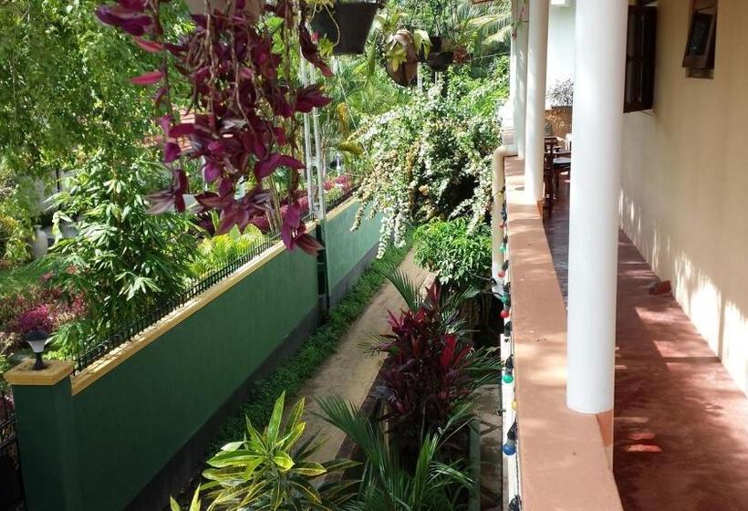 فندق Hikka Regent