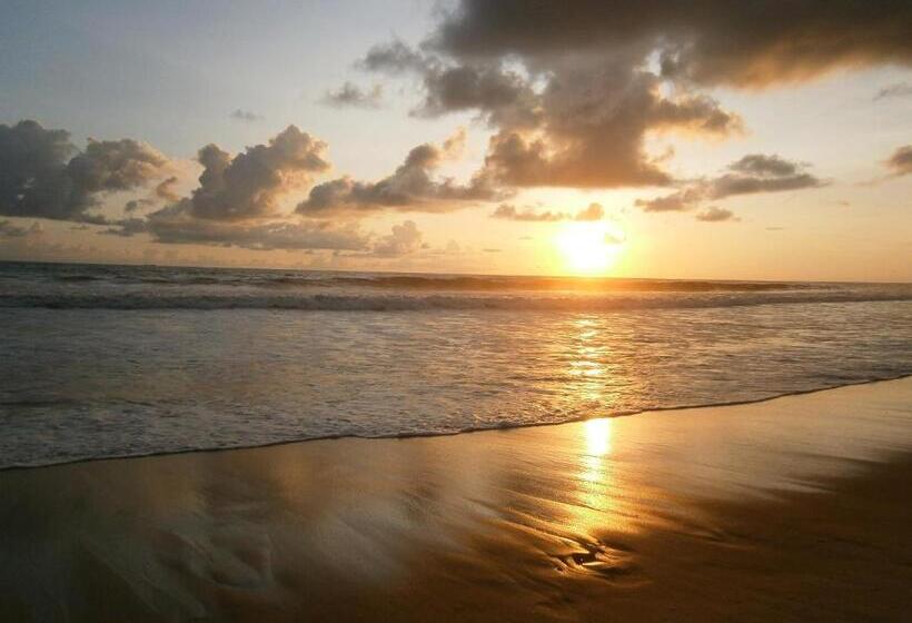 فندق Hikka Regent