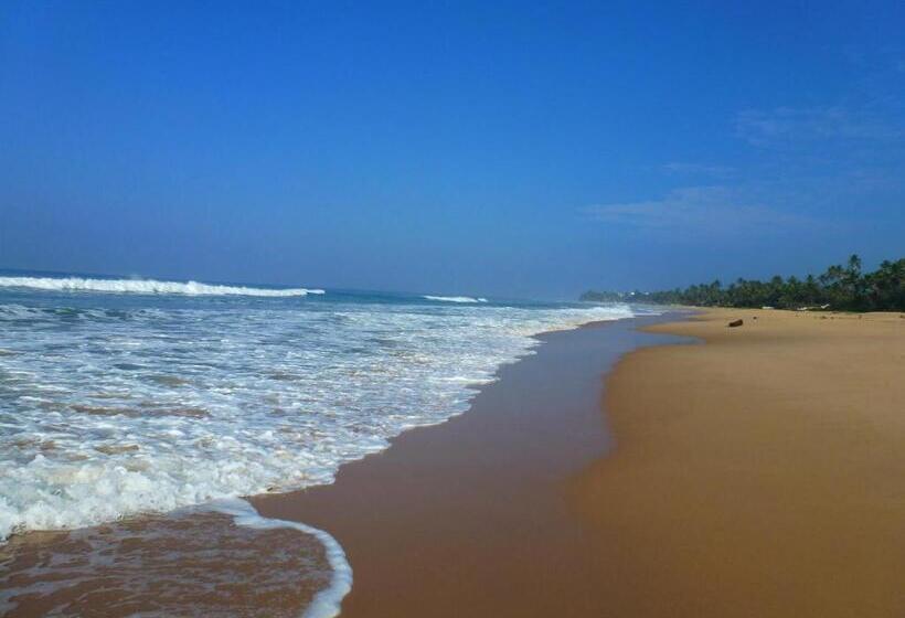 فندق Hikka Regent