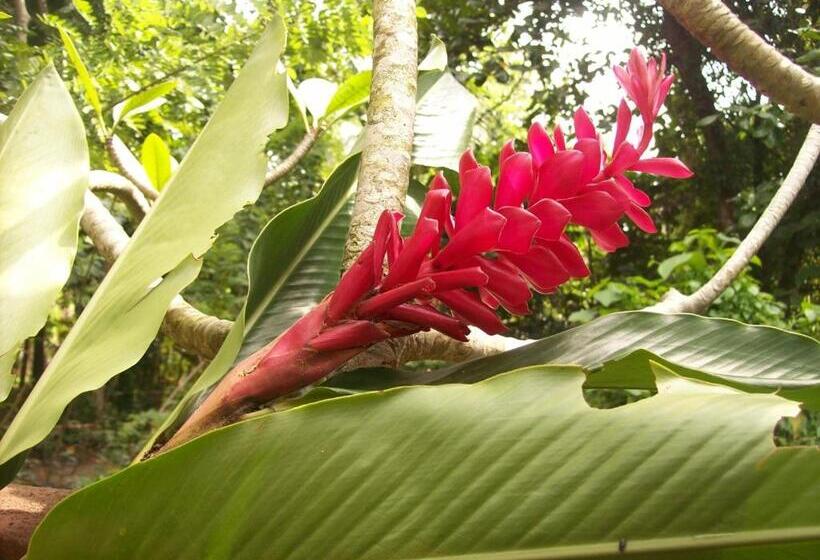 فندق Hikka Regent