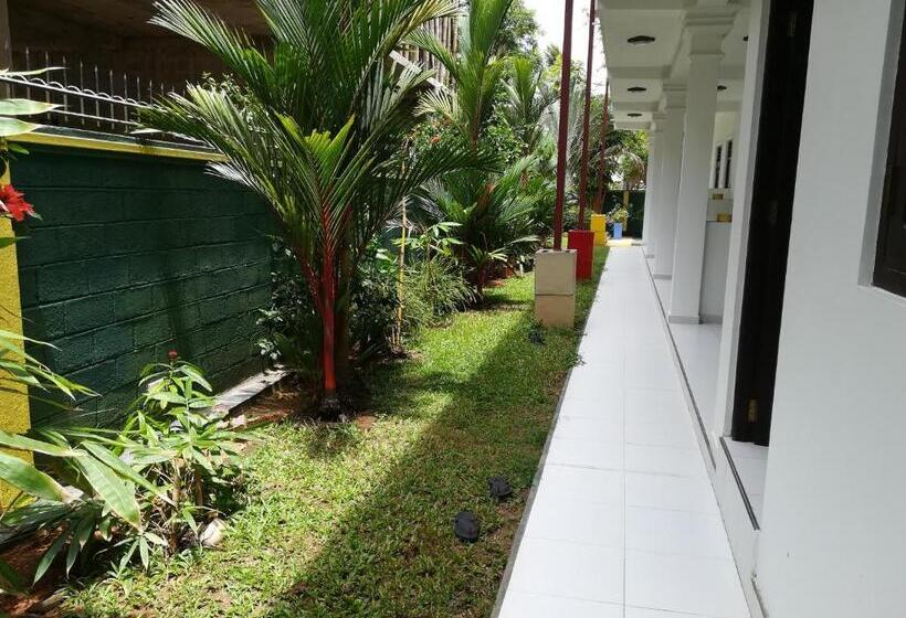 فندق Hikka Regent