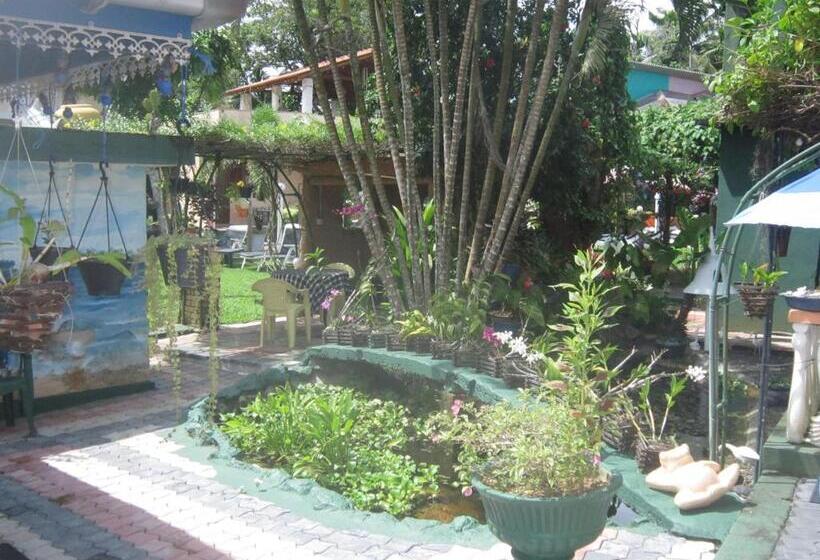 فندق Hikka Regent