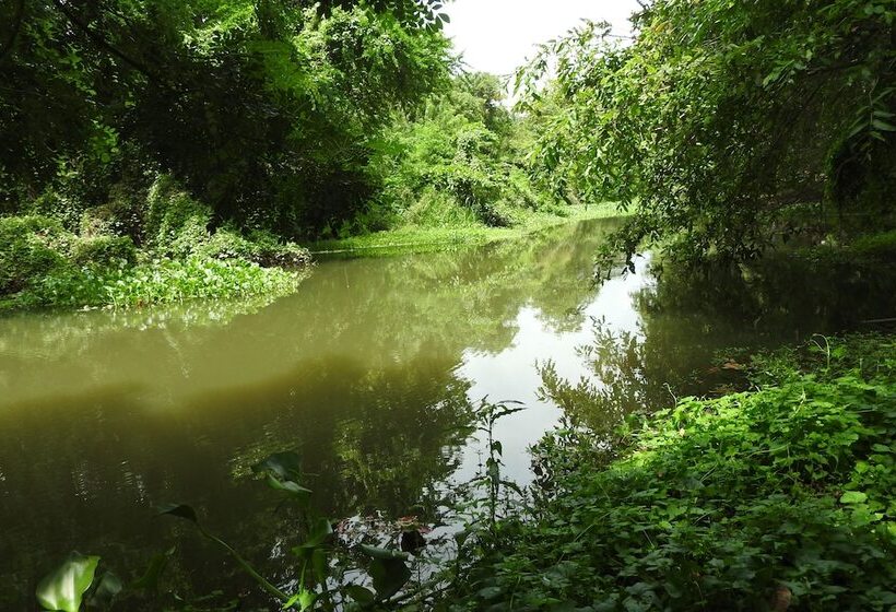فندق River Side Cabana
