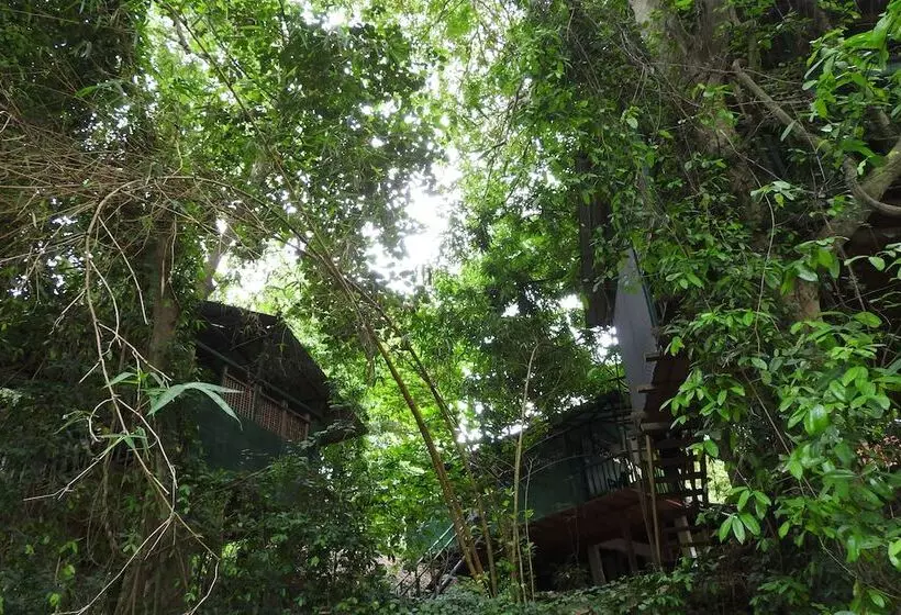 Hotelli River Side Cabana