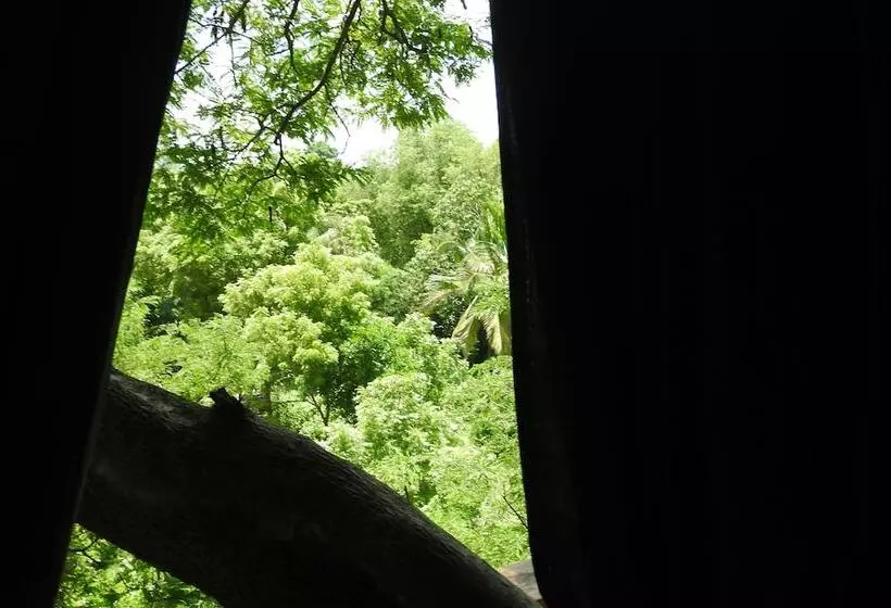 Hotelli River Side Cabana