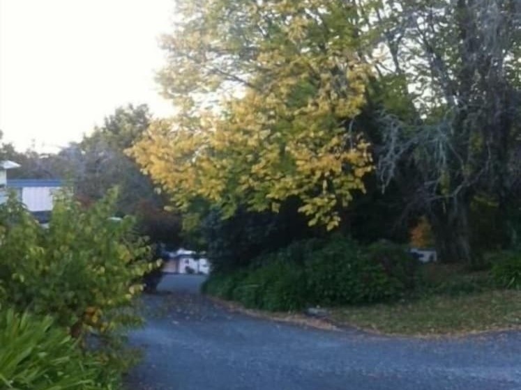 호텔 Caves Motor Inn