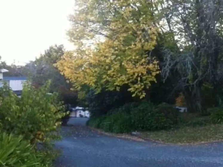 Hotelli Caves Motor Inn