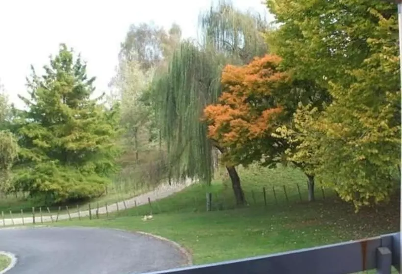 Hotelli Caves Motor Inn