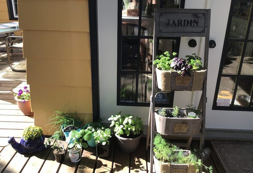 酒店 The Stella Rose B&b