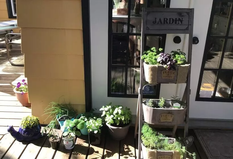 ホテル The Stella Rose B&b