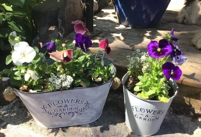 ホテル The Stella Rose B&b