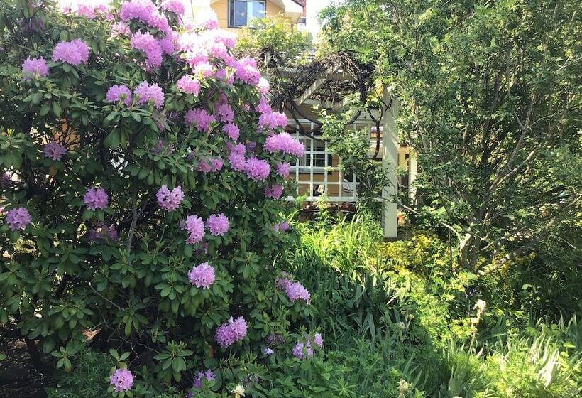 酒店 The Stella Rose B&b