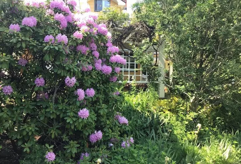 ホテル The Stella Rose B&b